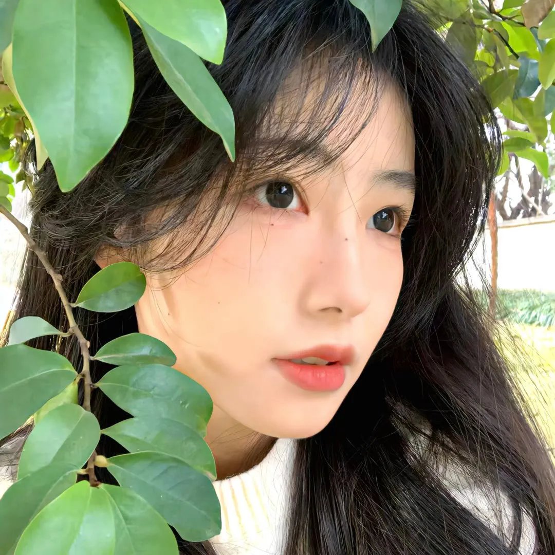 巨蟒