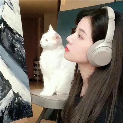 猫胆虫威大电影